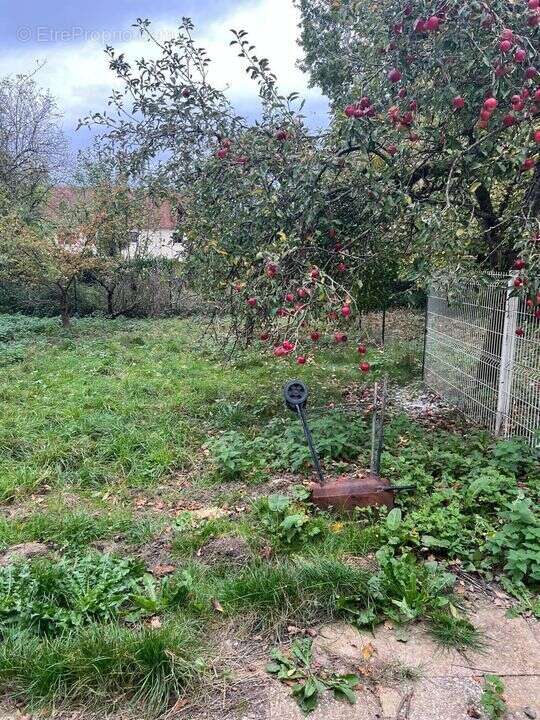Maison à vendre à Viels-Maisons - photo 3