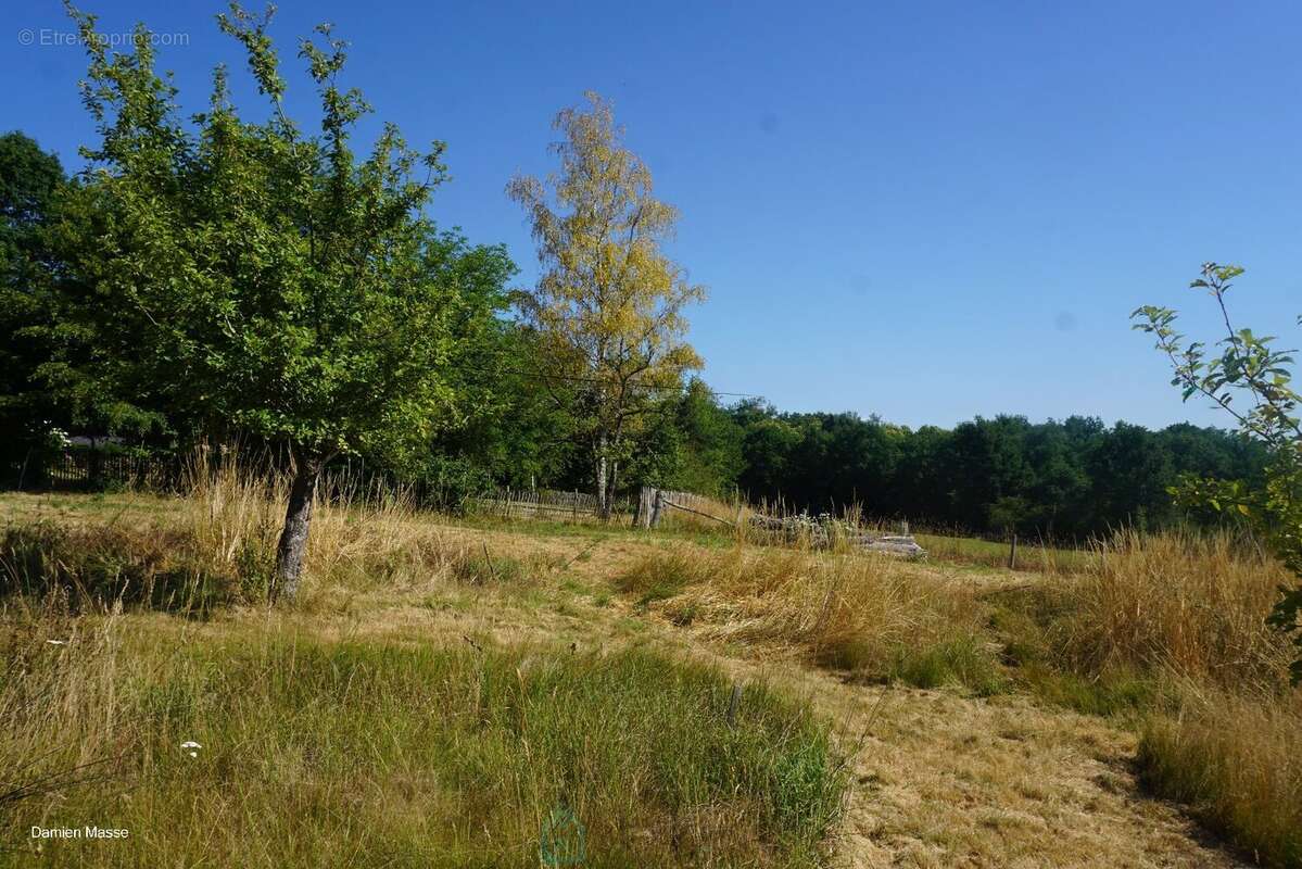 Maison avec dépendances dans le coeur du parc naturel régional Périgord-Limousin. - photo 8