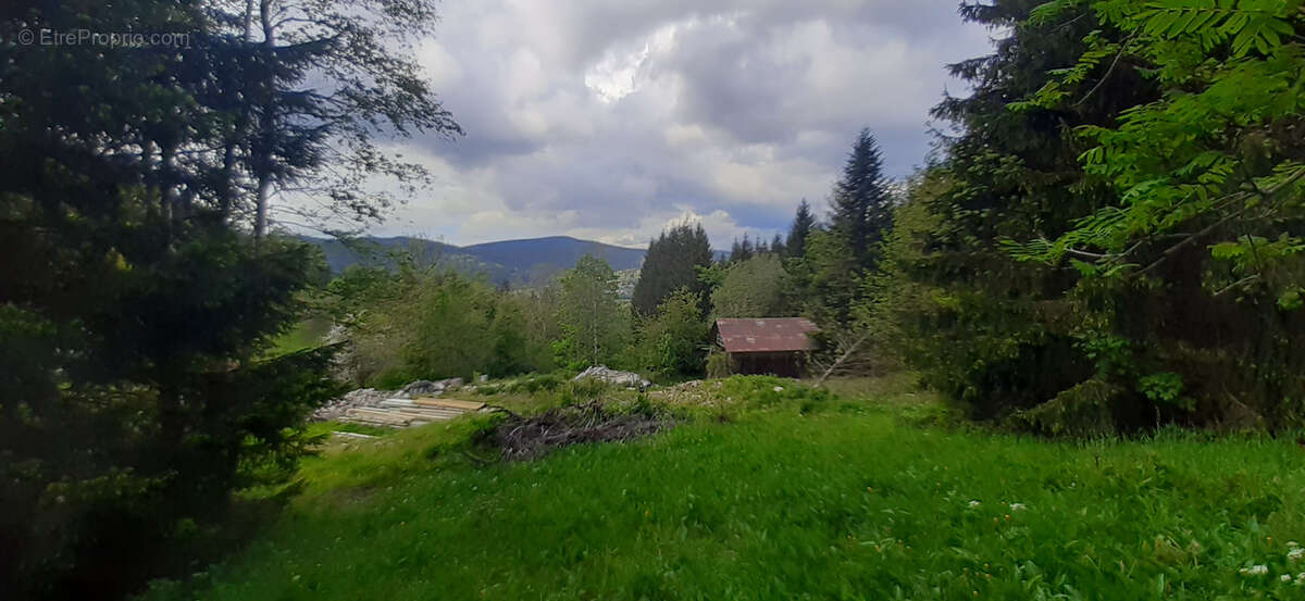 Terrain à GERARDMER