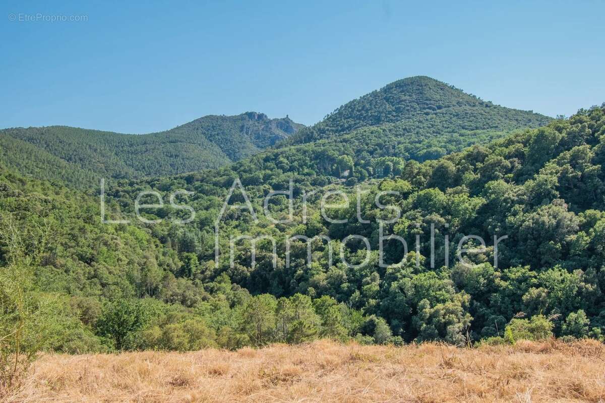 Opportunité dans un environnement privilégié - photo 21