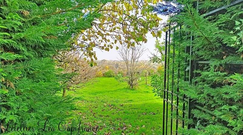 Maison à AZAY-LE-BRULE