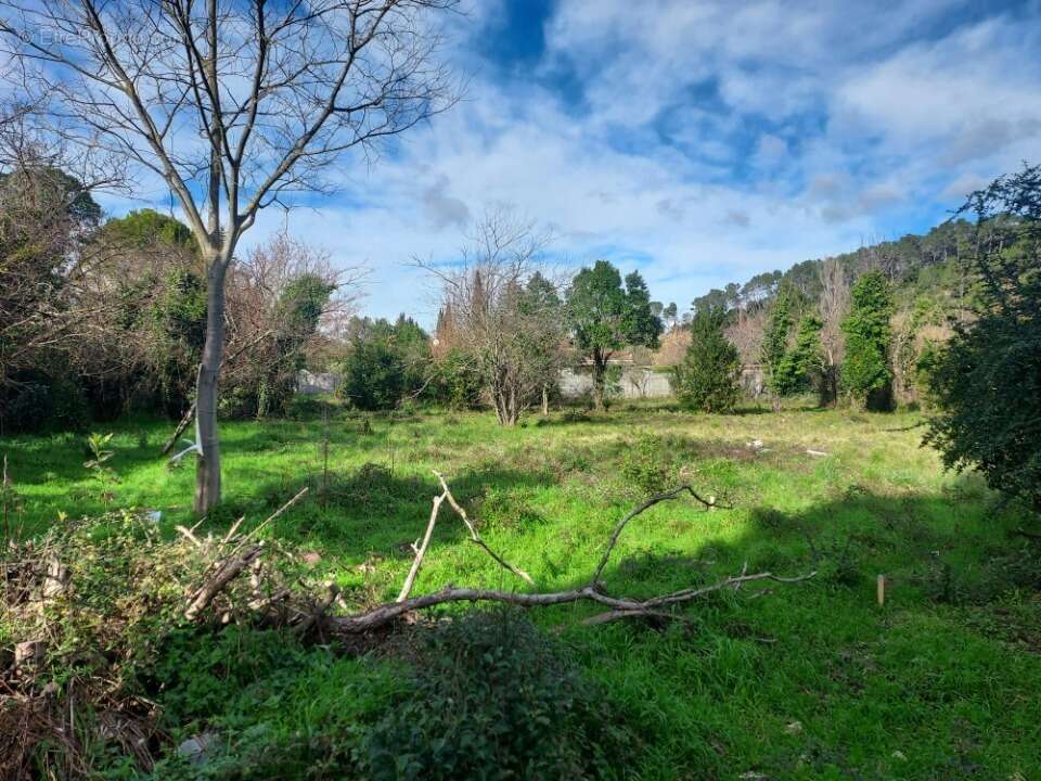 Terrain à CARNOULES