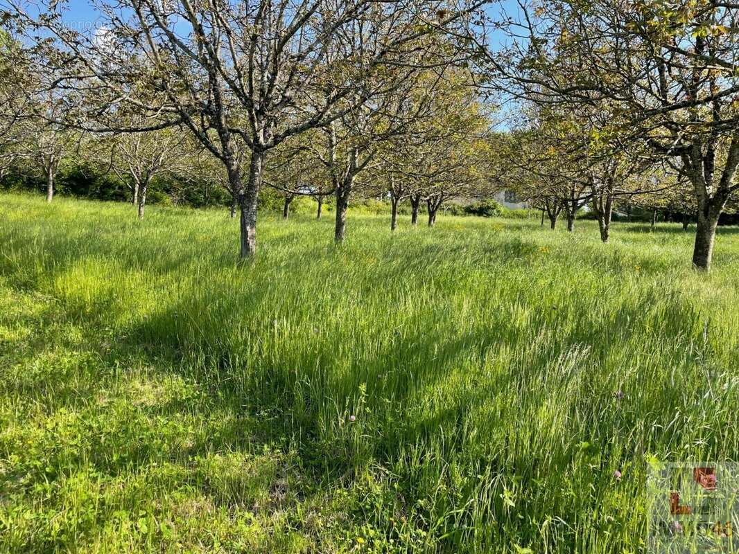 Terrain à ALVIGNAC