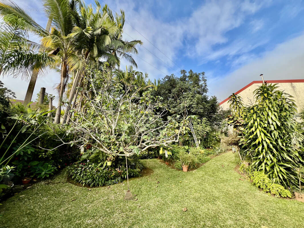 Maison à SAINT-PIERRE