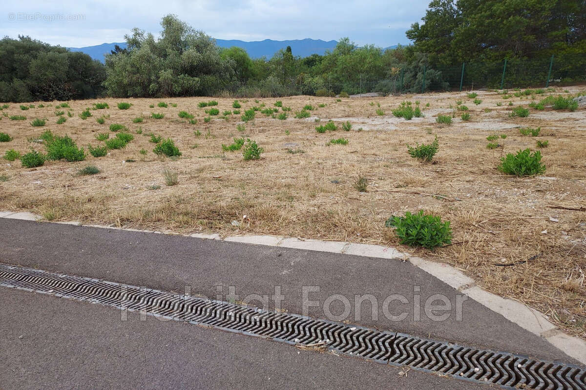 Terrain à PERPIGNAN