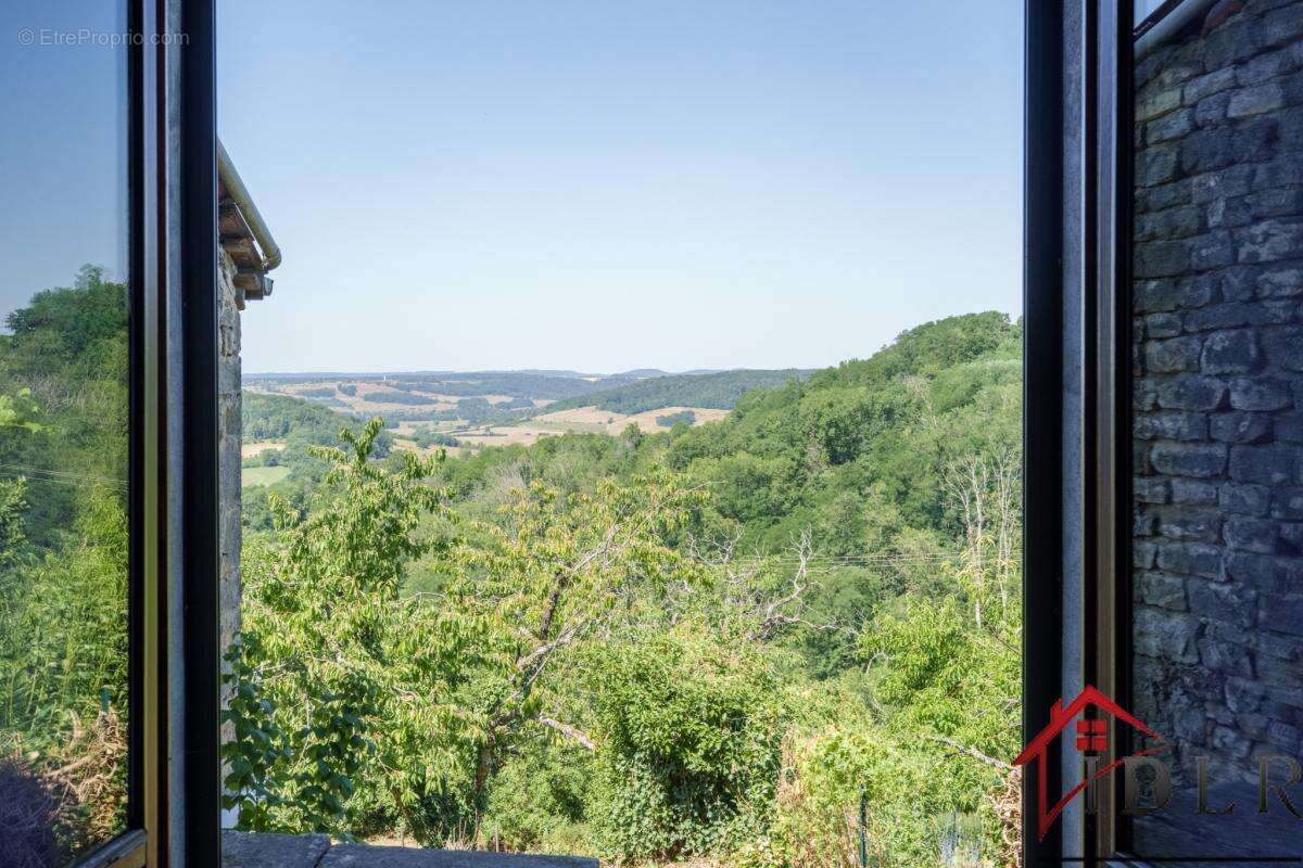 RARE   Maison de Village avec Vue et Potentiel à Coiffy-le- - photo 2