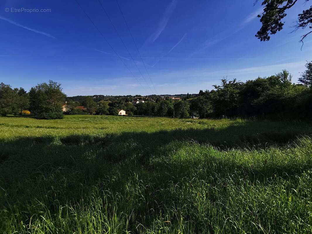 Terrain à AIXE-SUR-VIENNE
