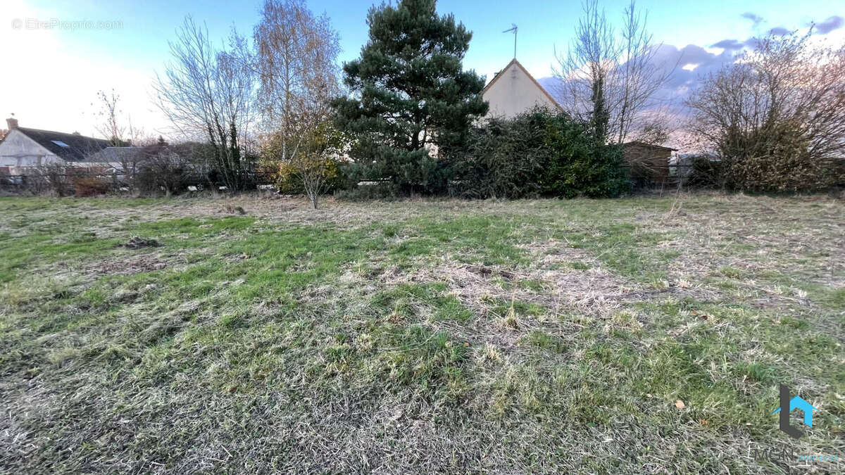 Terrain à VITRAY-EN-BEAUCE