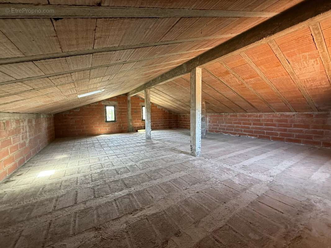 Maison à CAVES