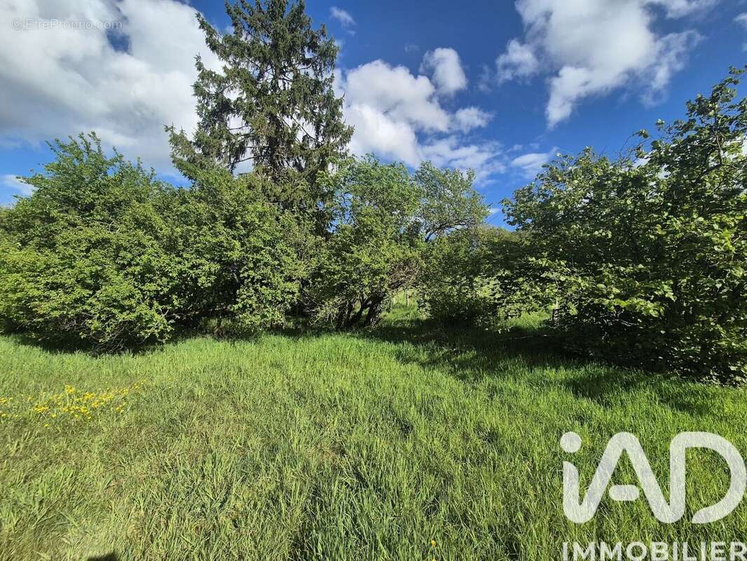 Photo 4 - Terrain à DOLLON