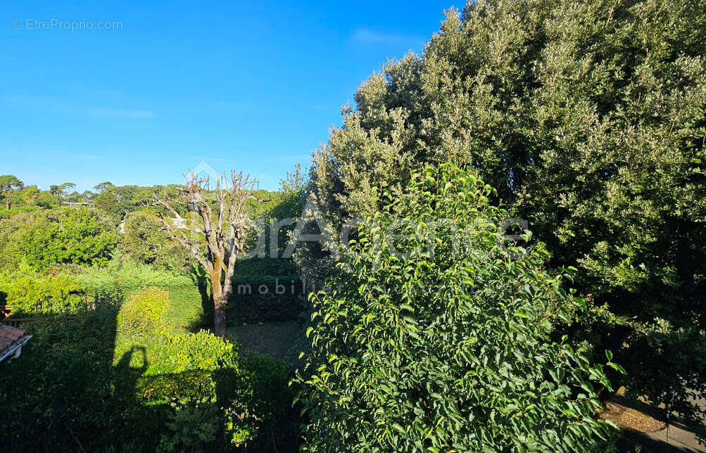 Appartement à SAINT-PALAIS-SUR-MER