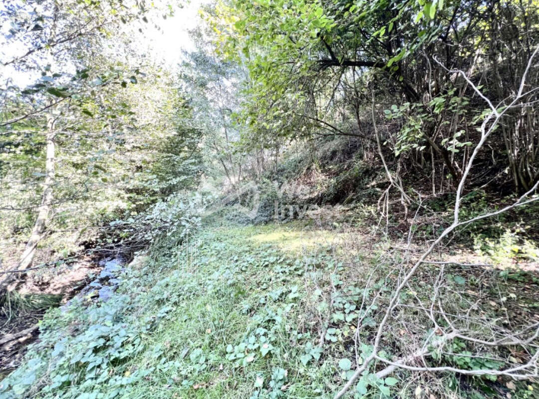 Terrain à VIENNE