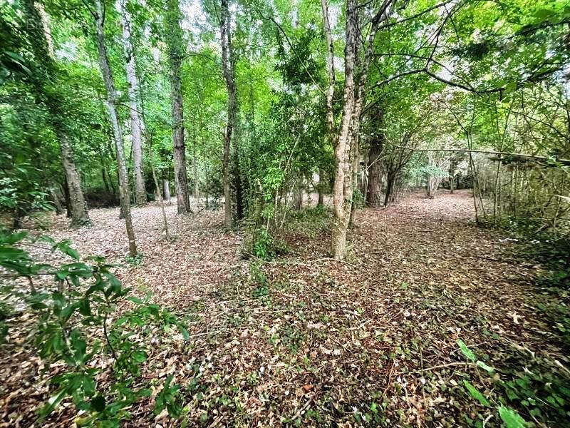 Terrain à MIGNALOUX-BEAUVOIR