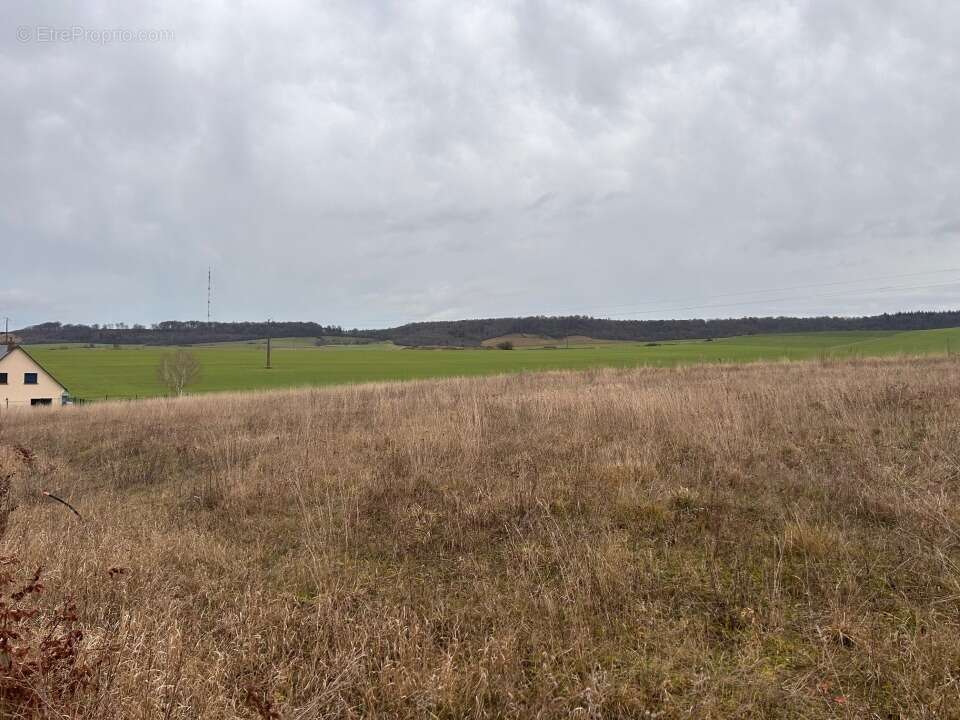 Terrain à MESNIERES-EN-BRAY