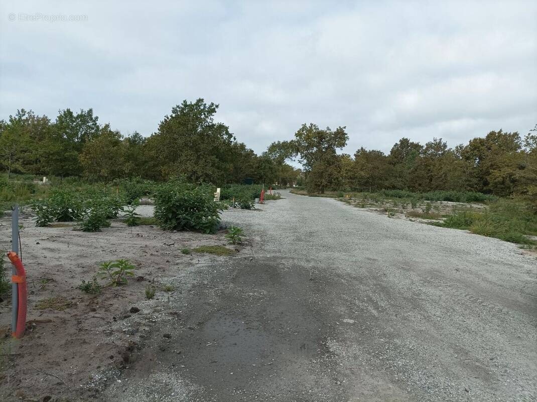 Terrain à LABOUHEYRE