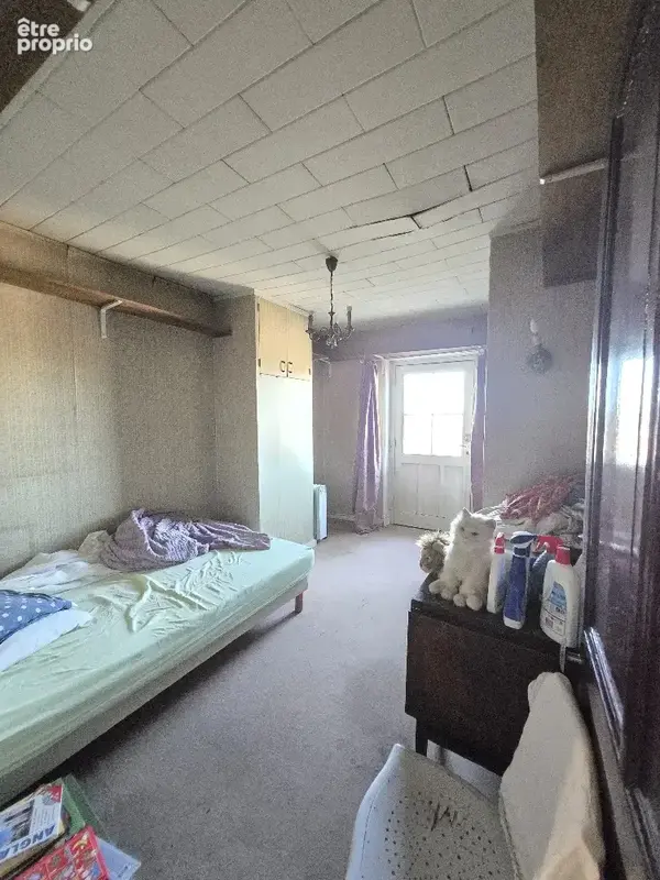 Maison familiale de caractère à Chaponost, 244 m2 habitables (304 m2 au sol total) sur terrain clos et arboré - photo 20