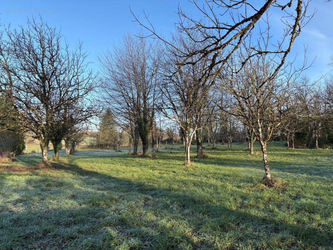 Terrain à NEGRONDES