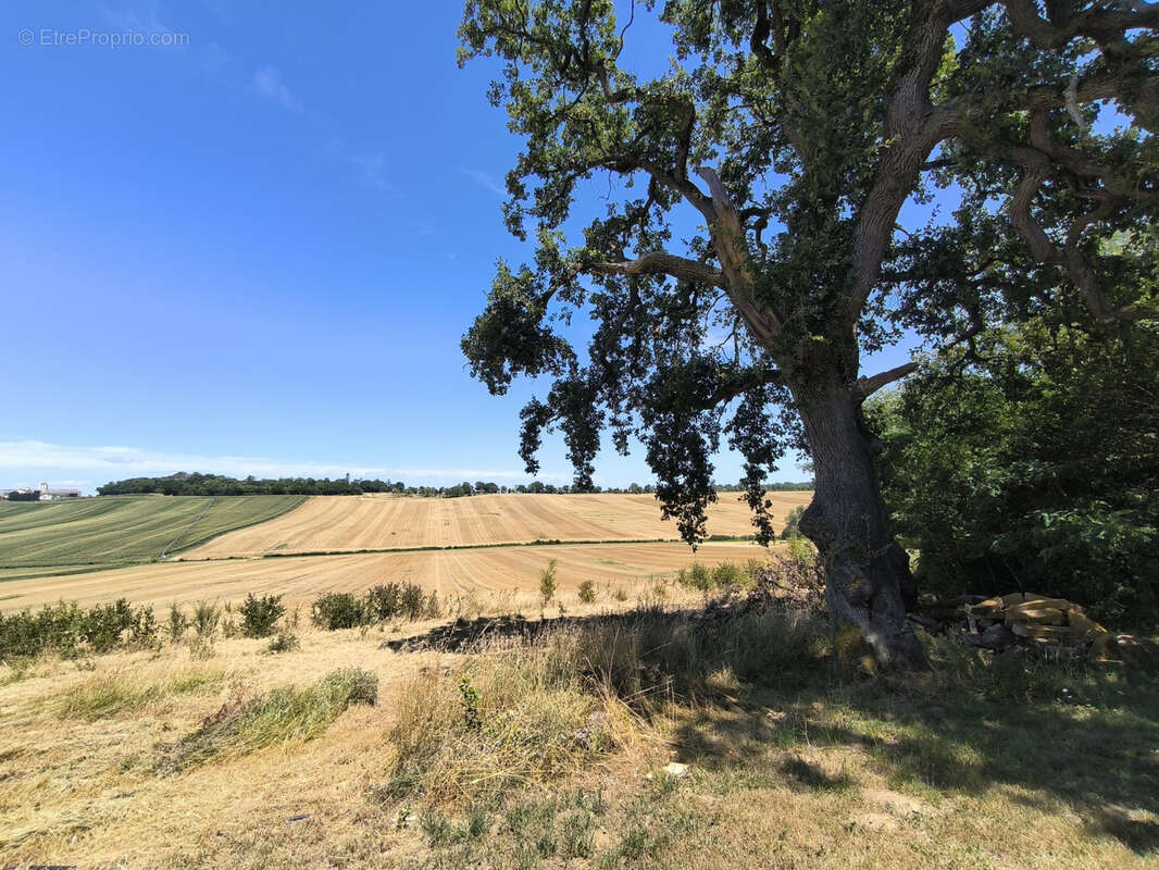 Maison à SAMATAN