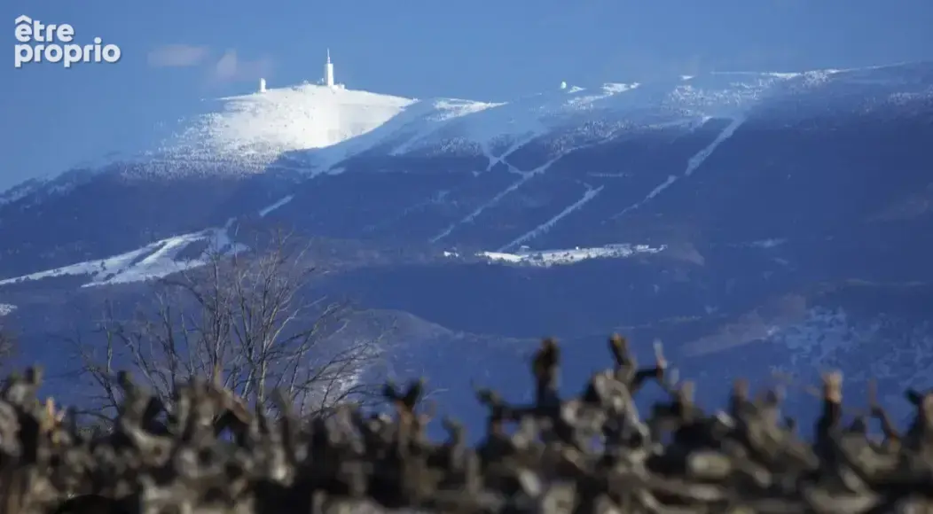 Splendide villa face au Ventoux - photo 4