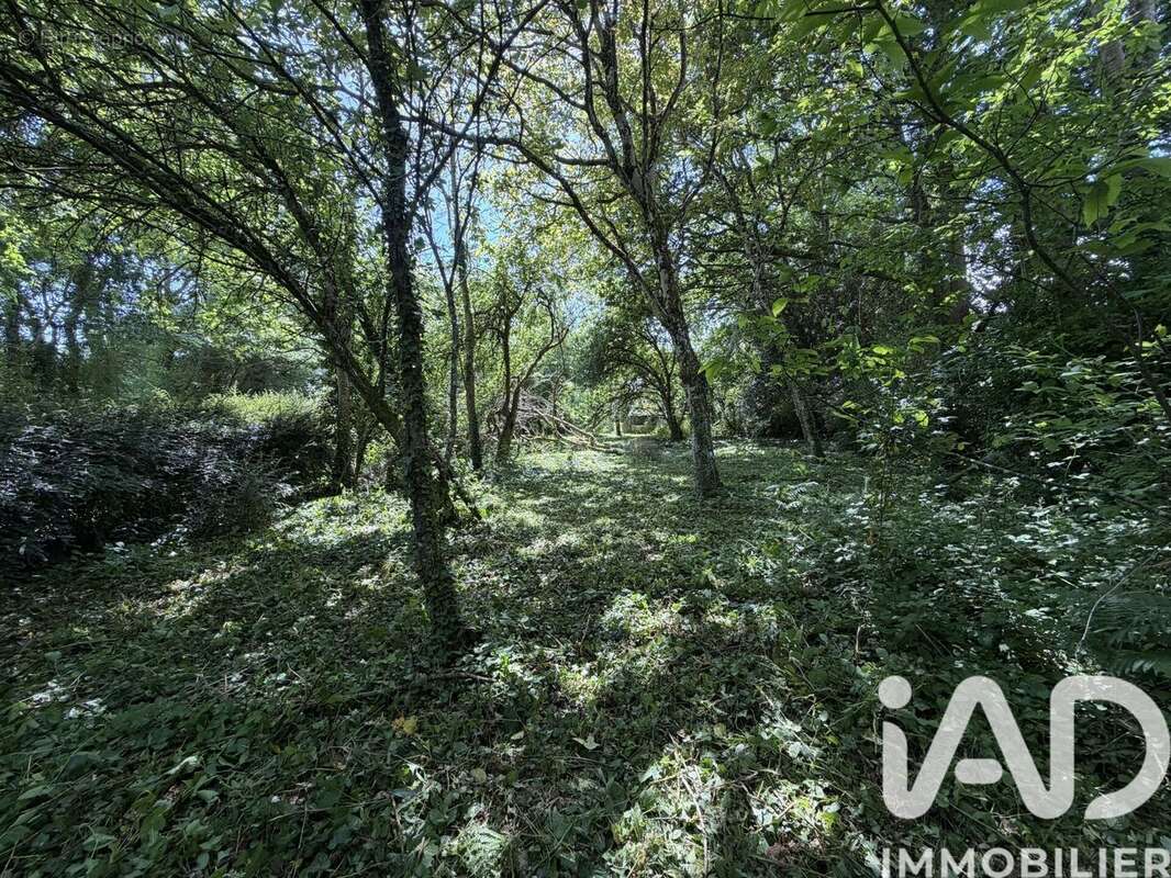 Photo 3 - Terrain à CLOHARS-CARNOET