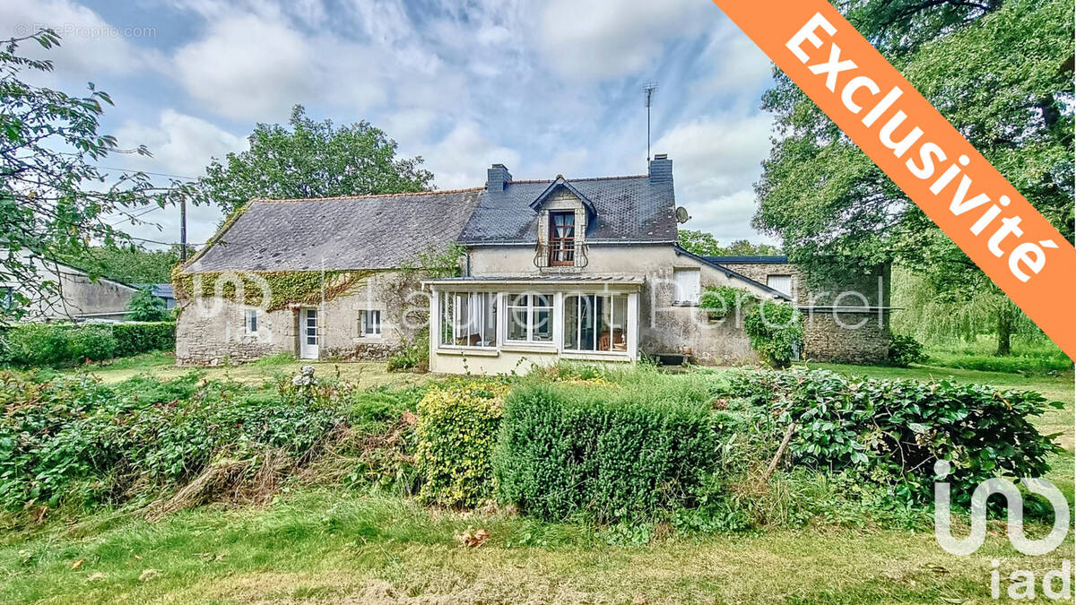 Photo 1 - Maison à ALLAIRE