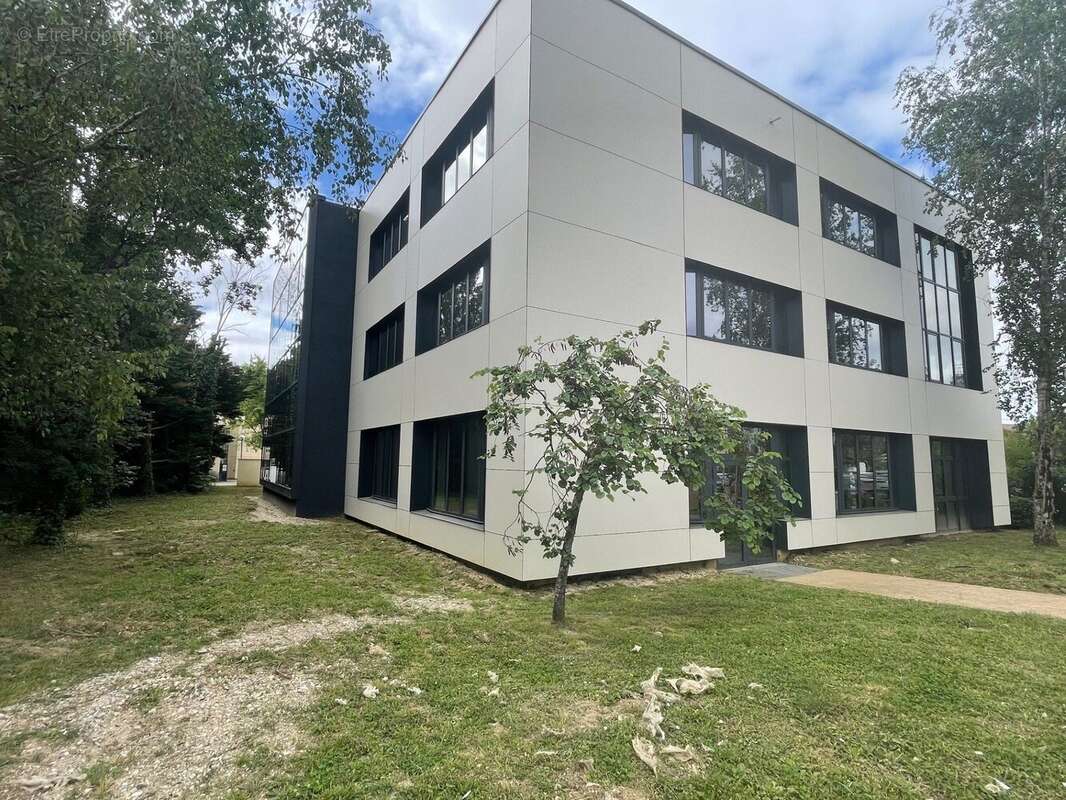 Commerce 563 m² à Saint-Didier-Au-Mont-D'or  - photo 6