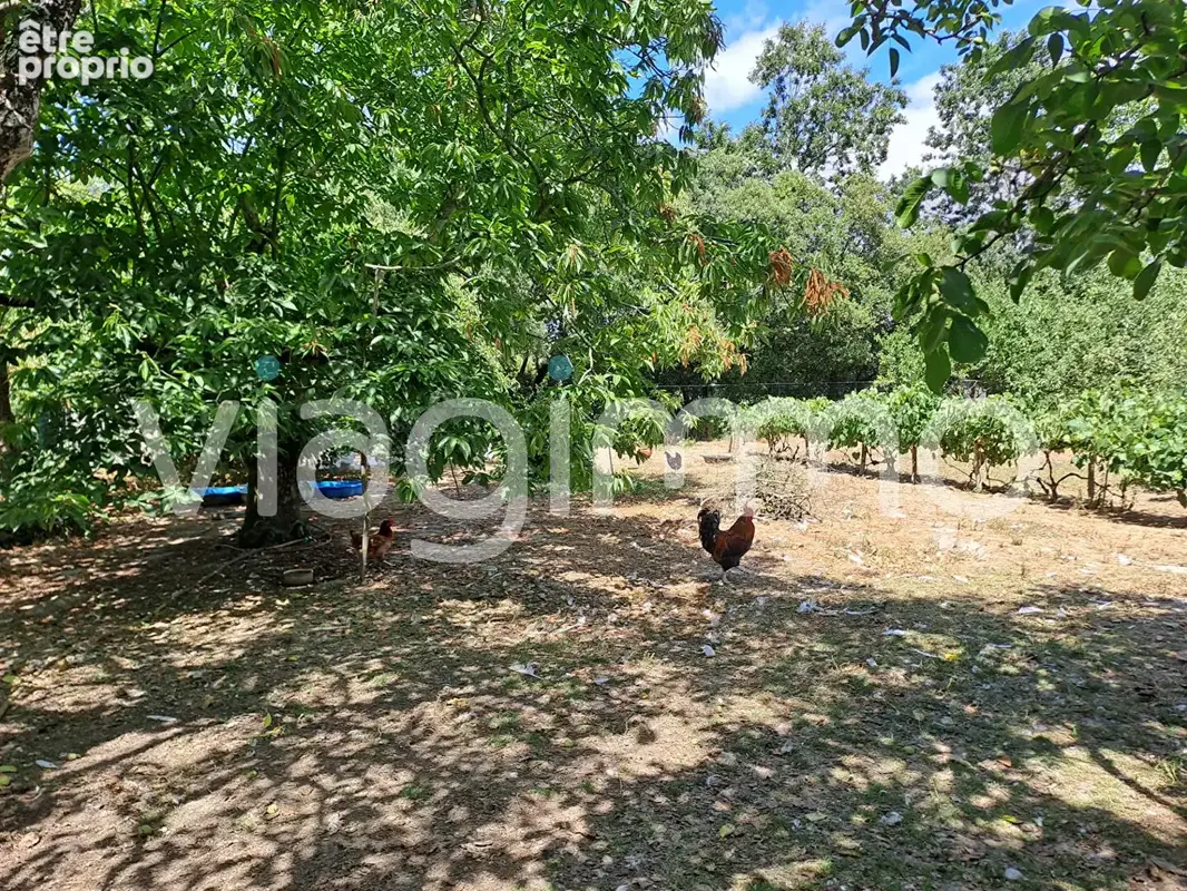 Mesquer - Longère en pierre du 14 ème et 19ème siècle - Viager occupé - photo 9
