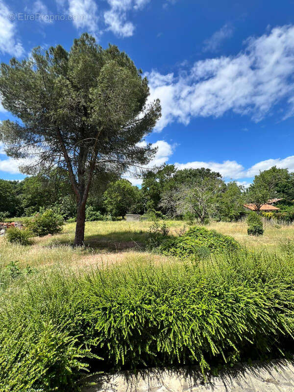 Maison traditionelle T4 sur sous-sol avec terrain de + 1500m2 - photo 3