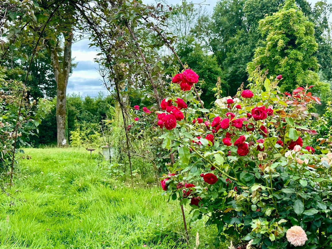 Maison à BLAINVILLE-CREVON