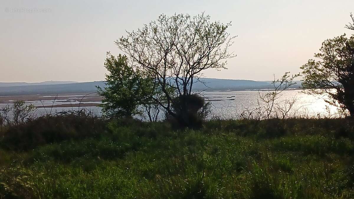 Terrain à VENDRES