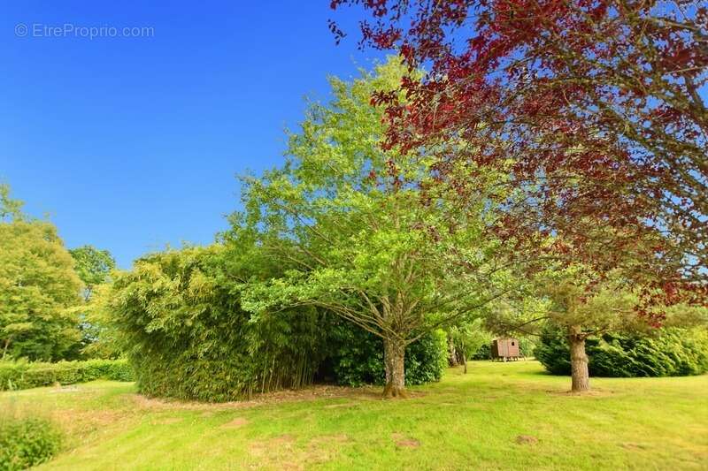 Maison sur sous-sol de 156 m2avec terrain de 4283 m2 à  ANTULLY (71) - photo 9