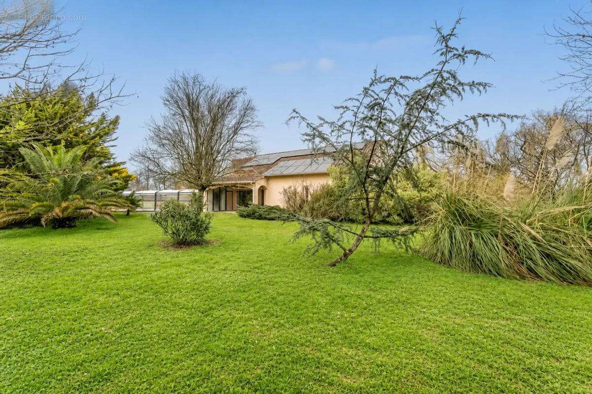 Maison familiale avec piscine à Cussac-Fort-Médoc - photo 15