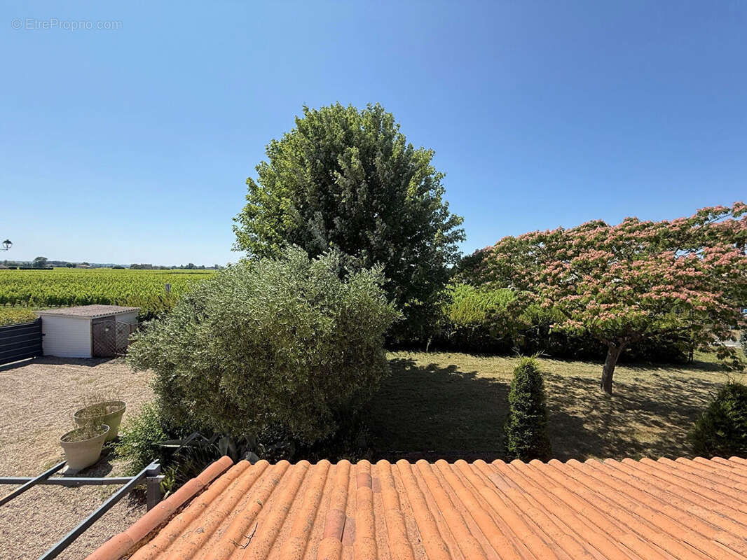 Maison 180m² à saint-émilion - photo 11