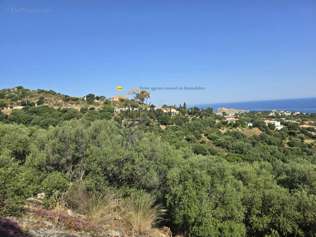 Terrain à MONTICELLO