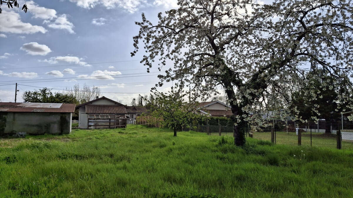 Terrain à AMBARES-ET-LAGRAVE
