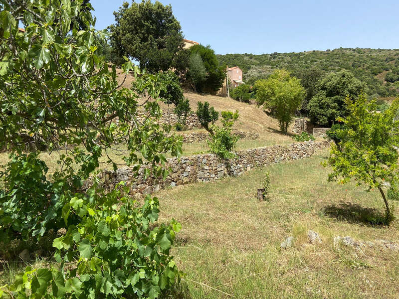 Terrain à ALATA