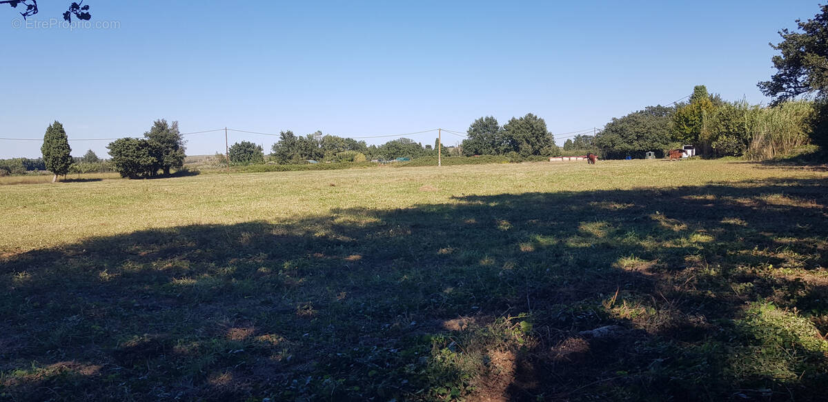 Terrain à BAGES