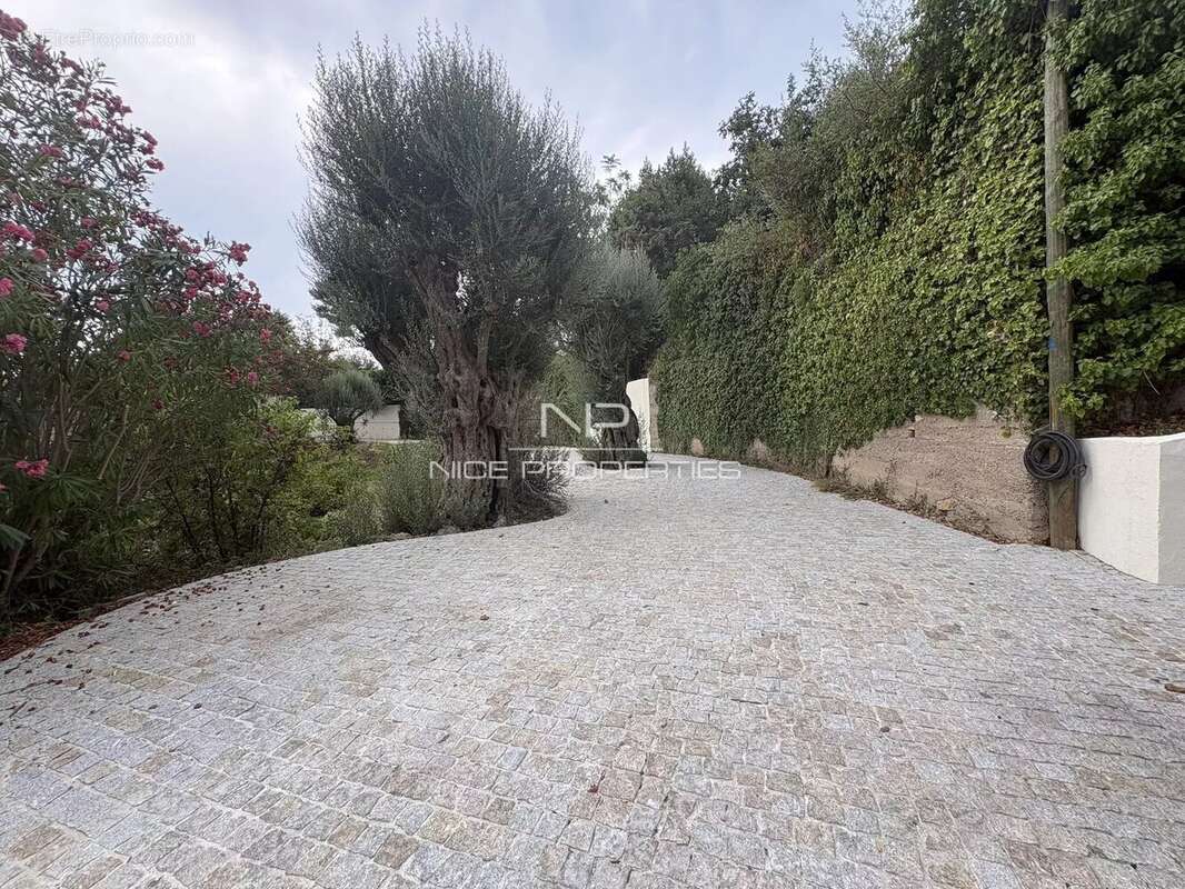 Roquebrune Cap Martin, Villa rénovée avec piscine et vue mer, dans cadre privilégié - photo 22