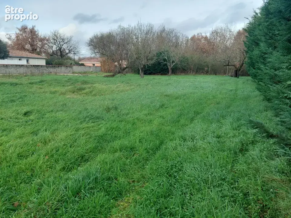 Terrain 1 200 m² à vendre à Blagnac (31700) - photo 2