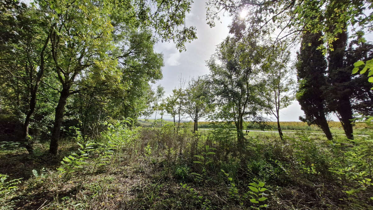 Terrain à CHENAC-SAINT-SEURIN-D&#039;UZET