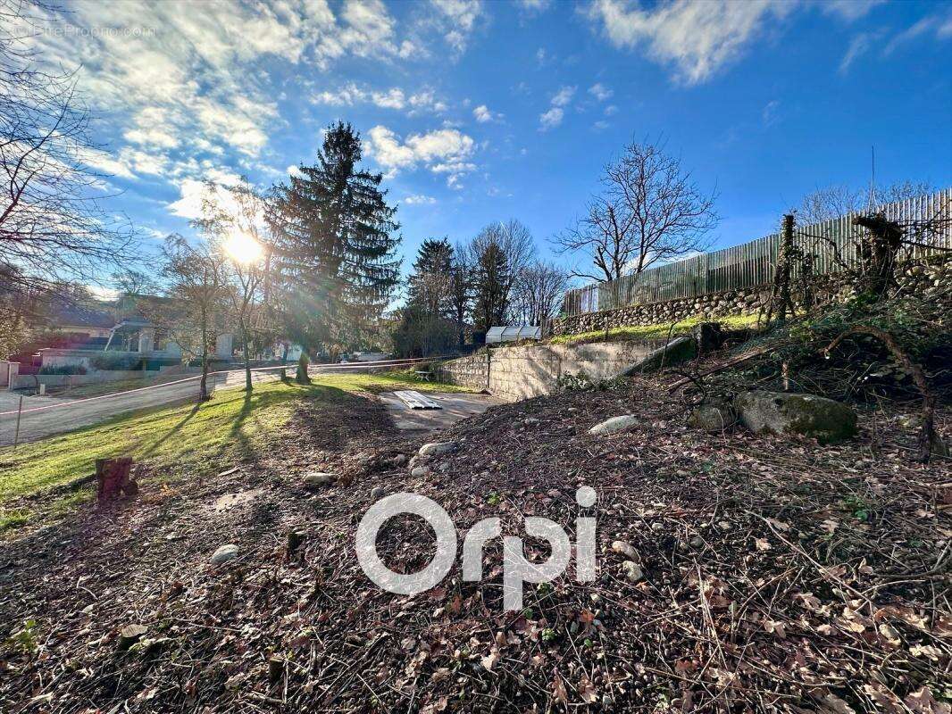 Terrain à BRIE-ET-ANGONNES