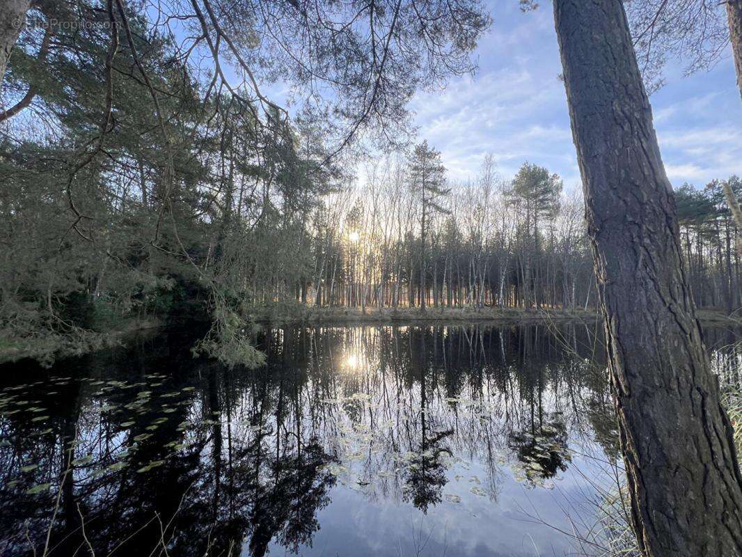 Maison à CERANS-FOULLETOURTE
