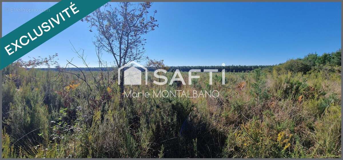 Photo 2 - Terrain à SANGUINET