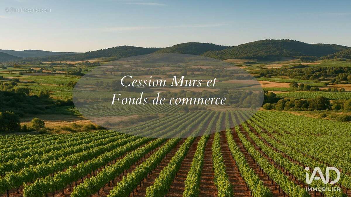 Photo 3 - Commerce à MONTADY