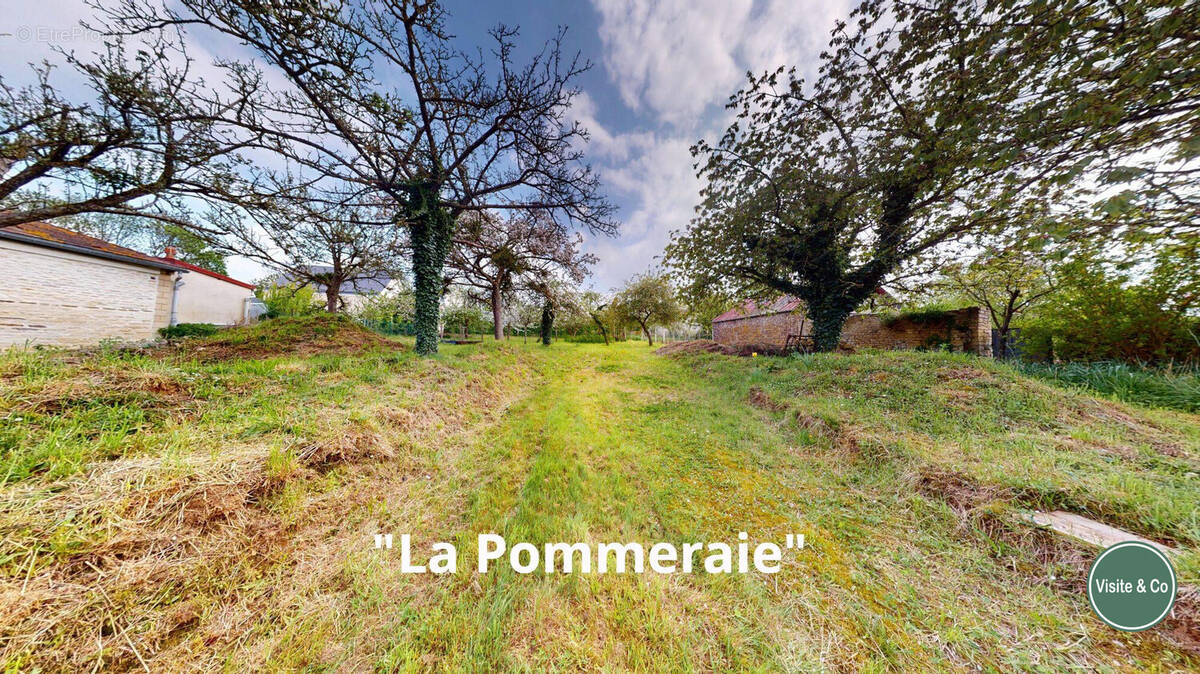 Terrain à OUILLY-LE-TESSON