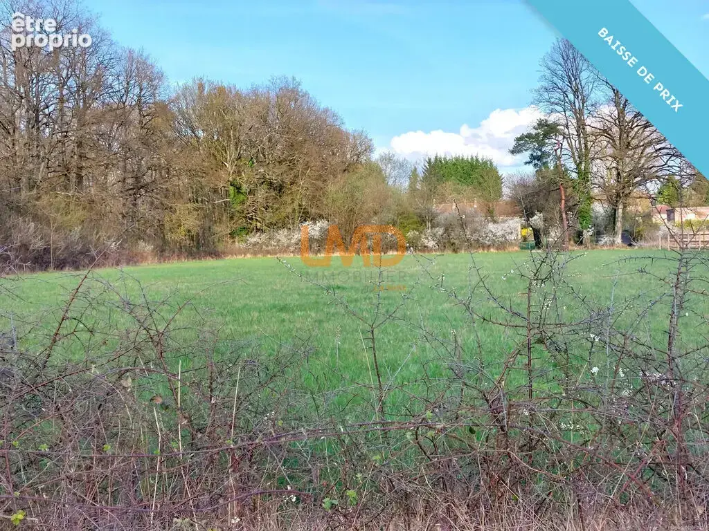 77, Montereau, maison en pierre , très bon état sur environ 1hec - photo 3