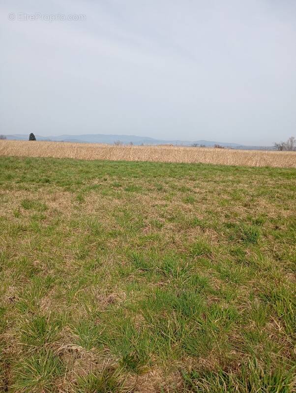 Terrain à SAINT-VALLIER