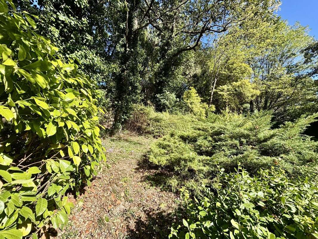 Maison à COLAYRAC-SAINT-CIRQ