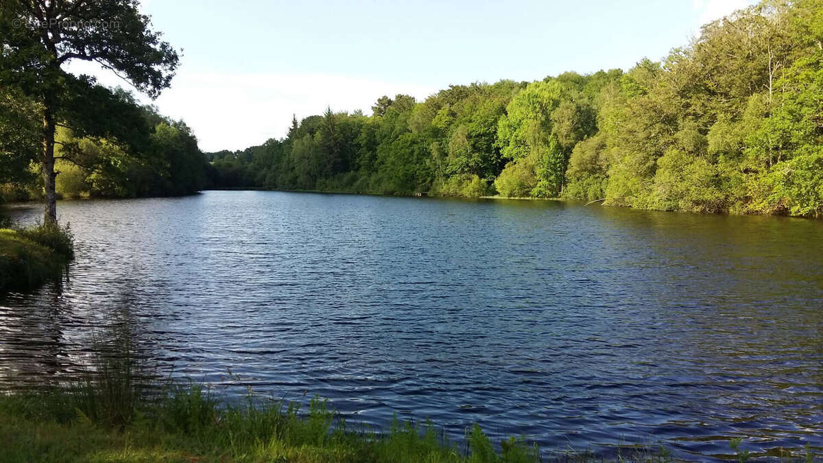 Terrain à COMPREIGNAC