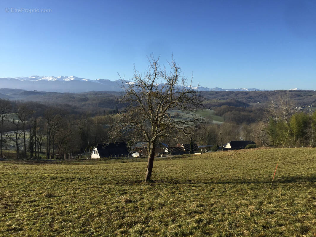 Terrain à LASSEUBE